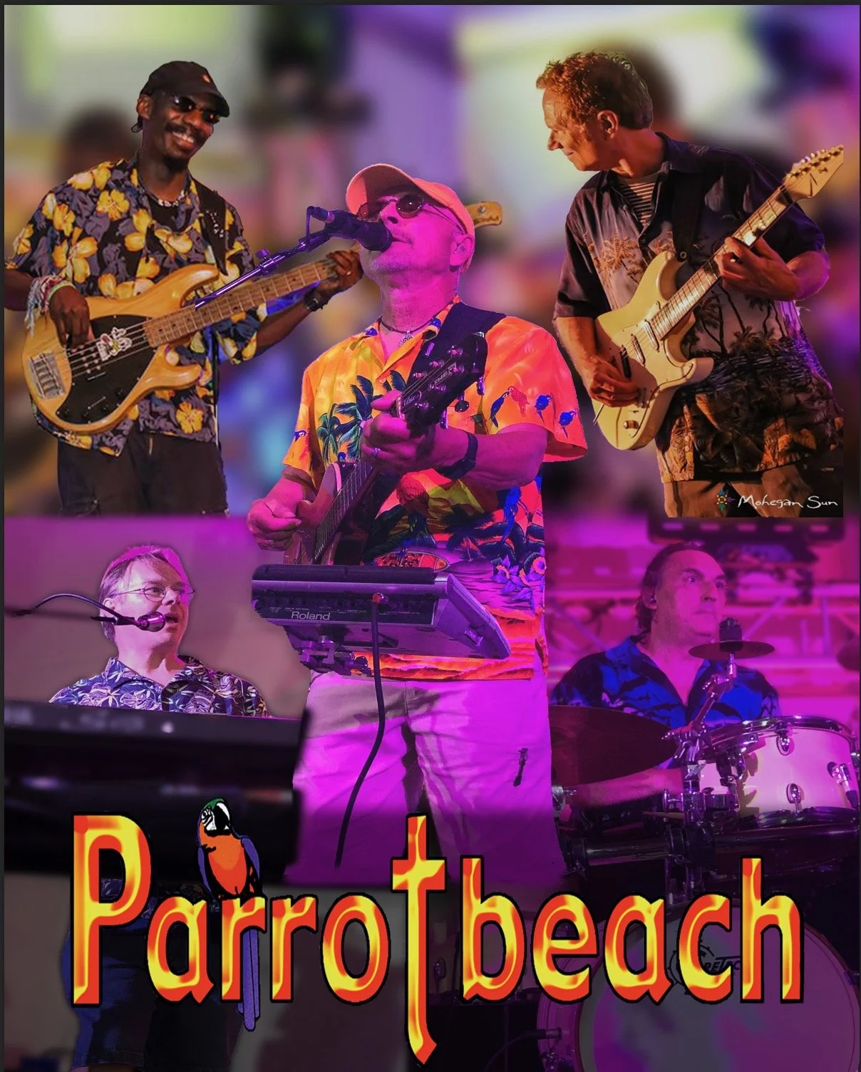 Parrotbeach_collage_final