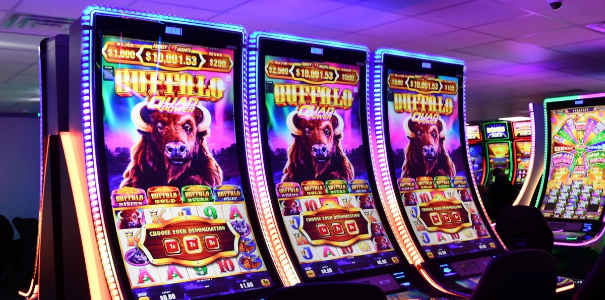 Buffalo Slot Machines | First Light Casino