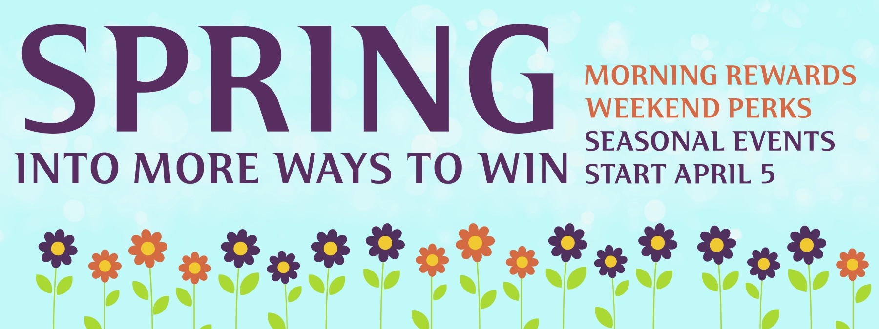 spring into win